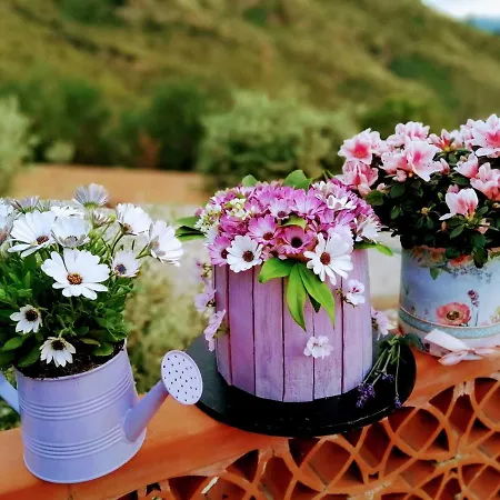 Villa Villa Verde Cefalù