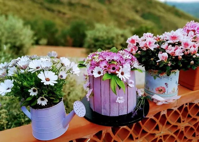 别墅 Villa Verde 切法卢