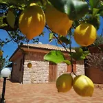 Villa Verde Villa *
