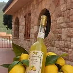 Villa Villa Verde *