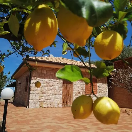 Villa Verde Villa *