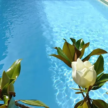 Villa Villa Verde *