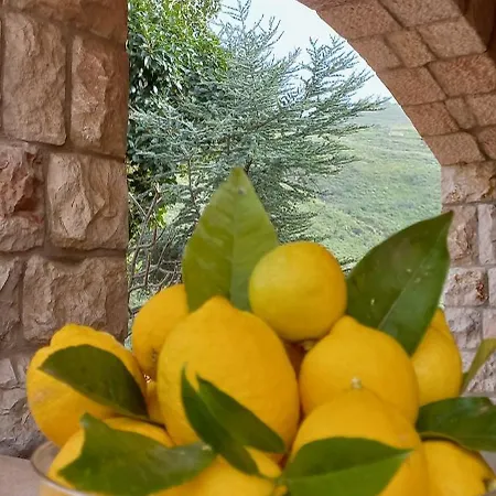 Villa Verde Villa *