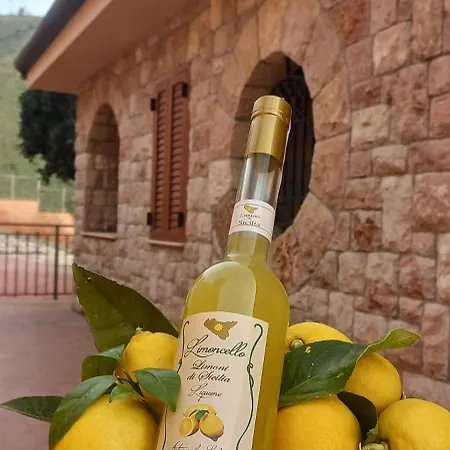 Villa Villa Verde *