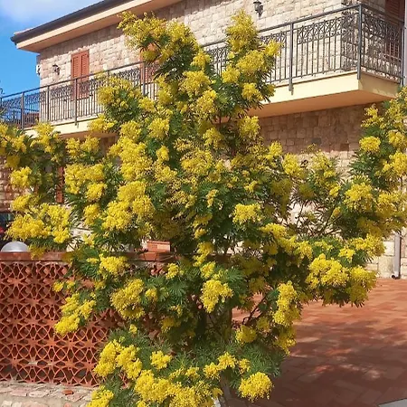 Villa Verde Villa *
