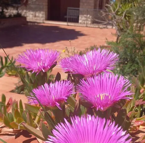 וילה Villa Verde *