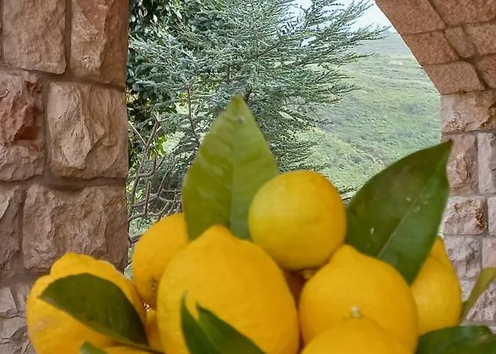 Villa Verde וילה *