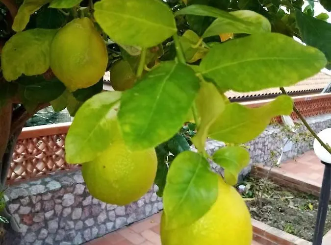 וילה Villa Verde *