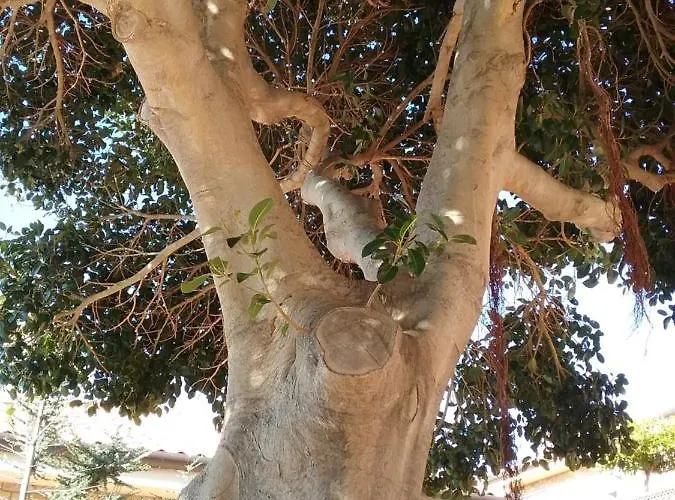 Villa Verde וילה *